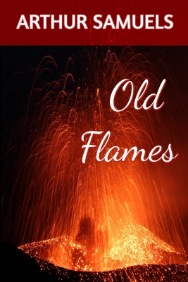 Old Flames Novel